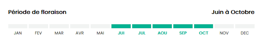 0610   juin à octobre