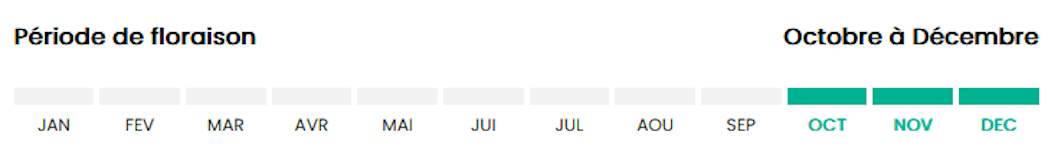 1012   Octobre à déc